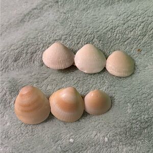 Elegant Gold and Cream sea shell 🐚 Hair Clips